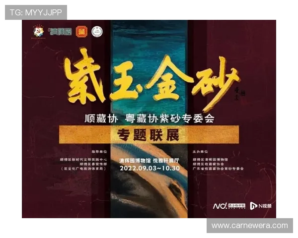 沧海遗珠：重拾那些年，我们一同追过的《沧海》